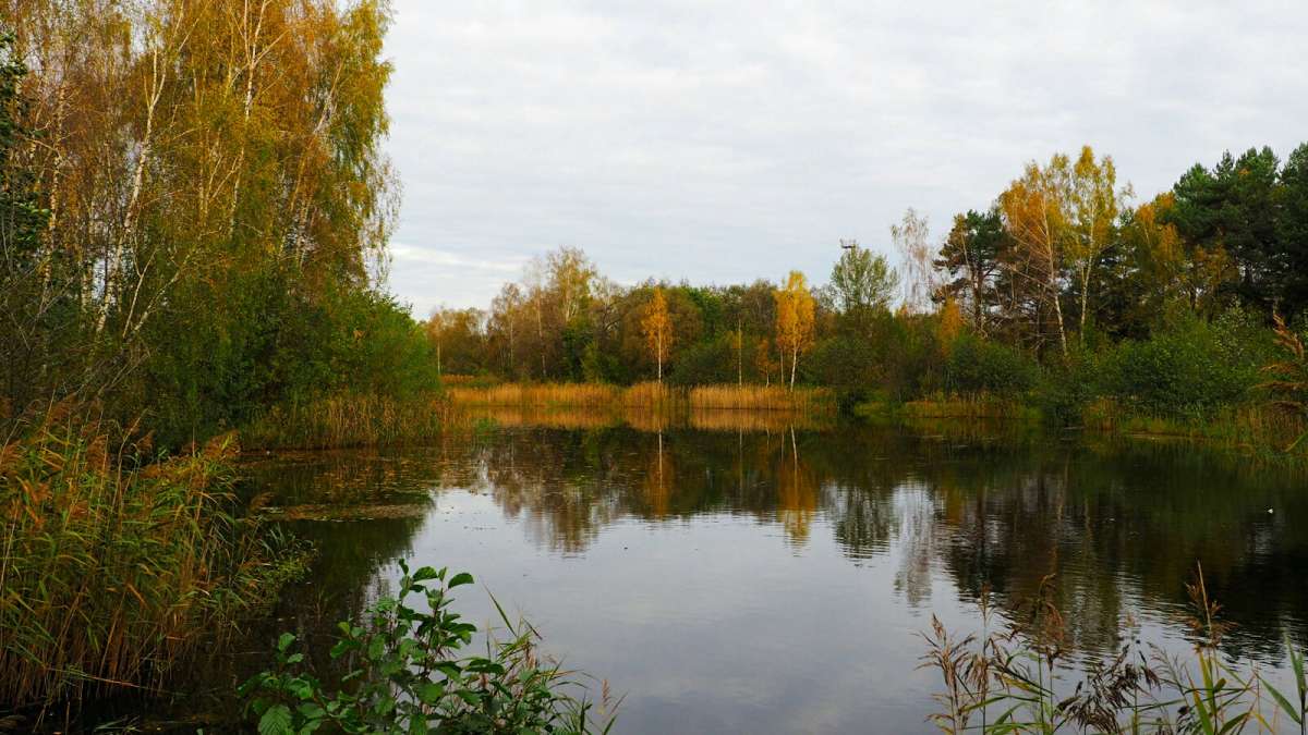 �����. ����� �������� �������� �� PhotoGeek.ru #������ ��� �������