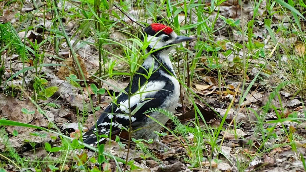 �������� �� ��������� ����. ����� �������� �������� �� PhotoGeek.ru #�������� ���