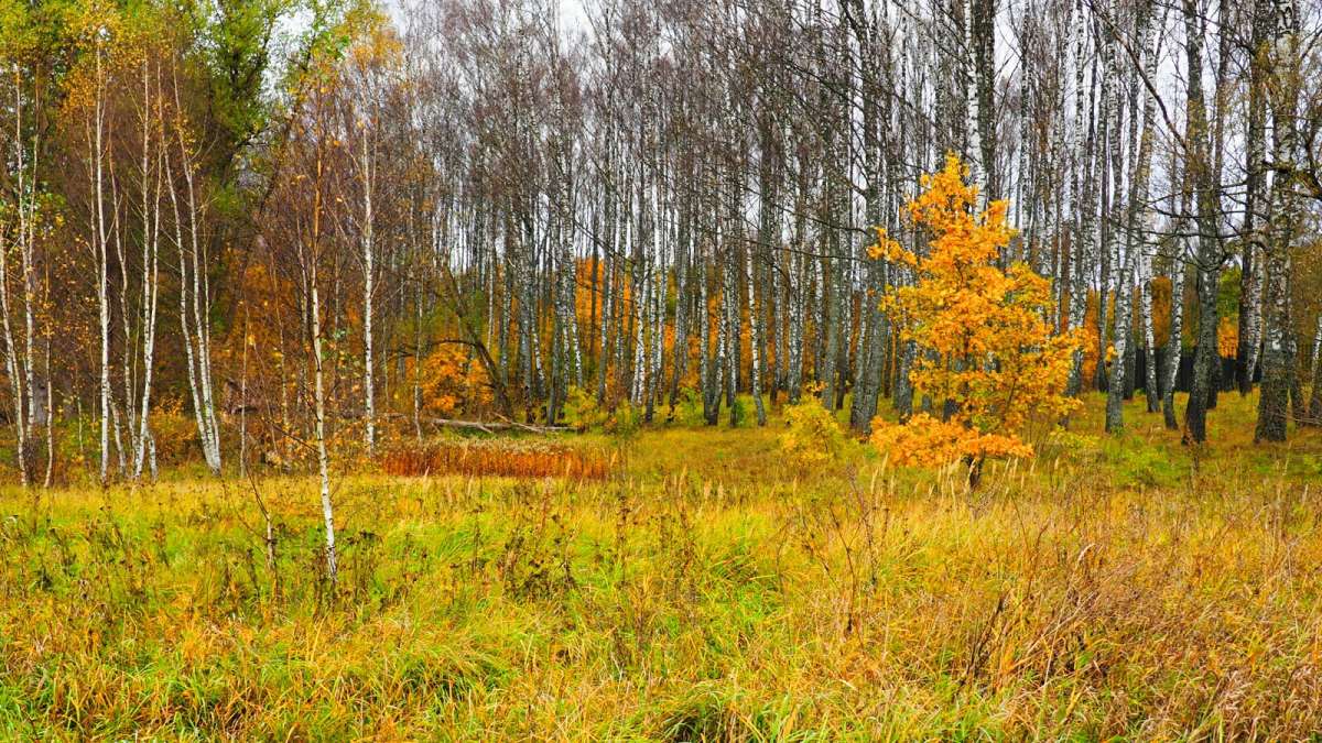 "�������" ������� ���. ����� �������� �������� �� PhotoGeek.ru #������ ��� �������