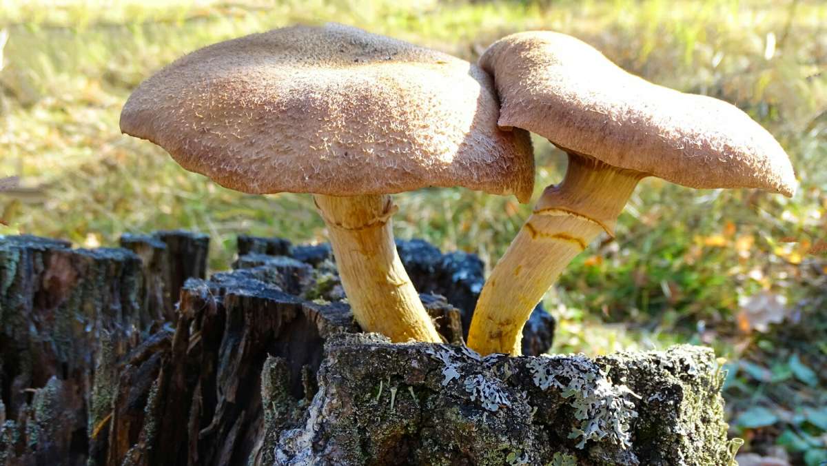 ��� �����. ����� �������� �������� �� PhotoGeek.ru #����� #������ ��� �������