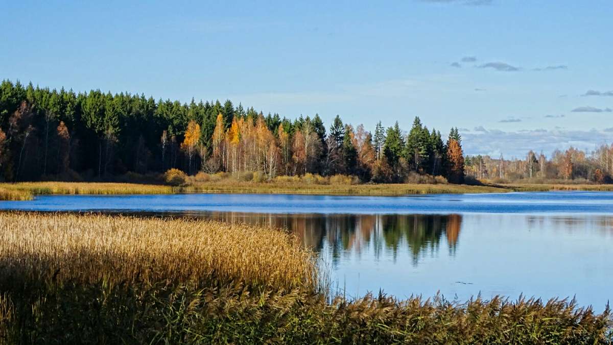 ������� ����� �������� �������� �� PhotoGeek.ru #������ ��� �������
