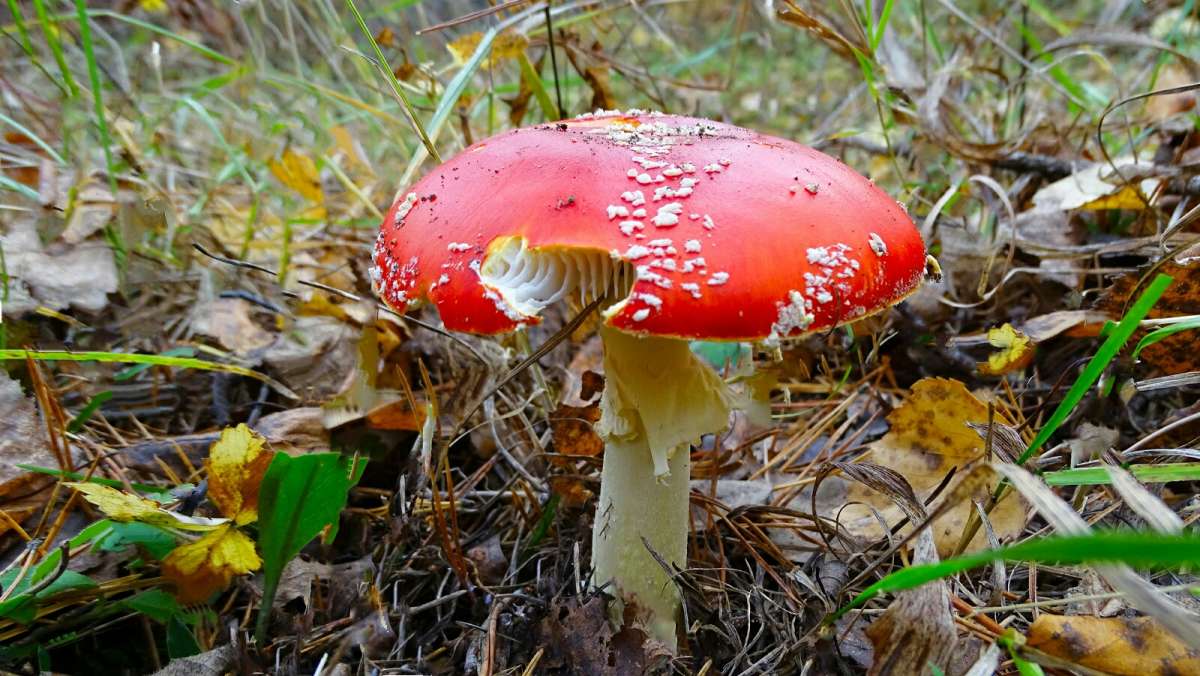 ��������� �������� ���� ����� �������� �������� �� PhotoGeek.ru #������ ��� �������