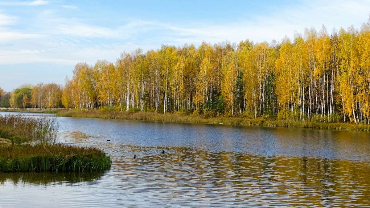 ����� - �������. ����� �������� �������� �� PhotoGeek.ru #������ ��� �������