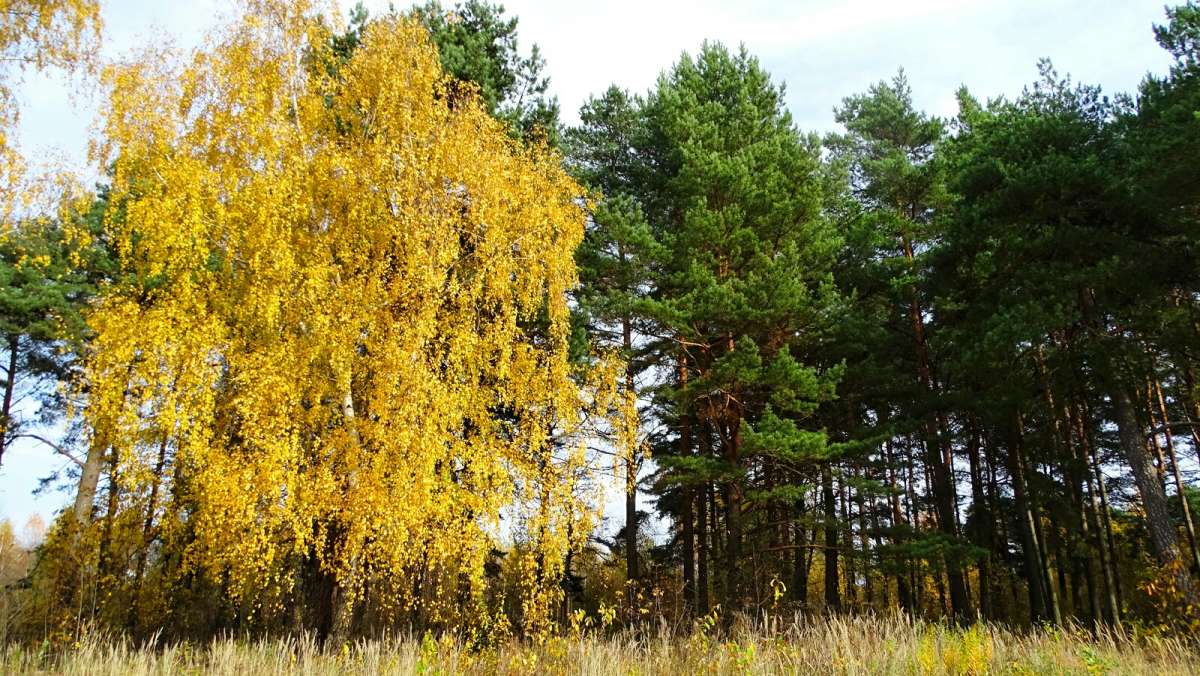 ��� �����. ����� �������� �������� �� PhotoGeek.ru #������ ��� �������