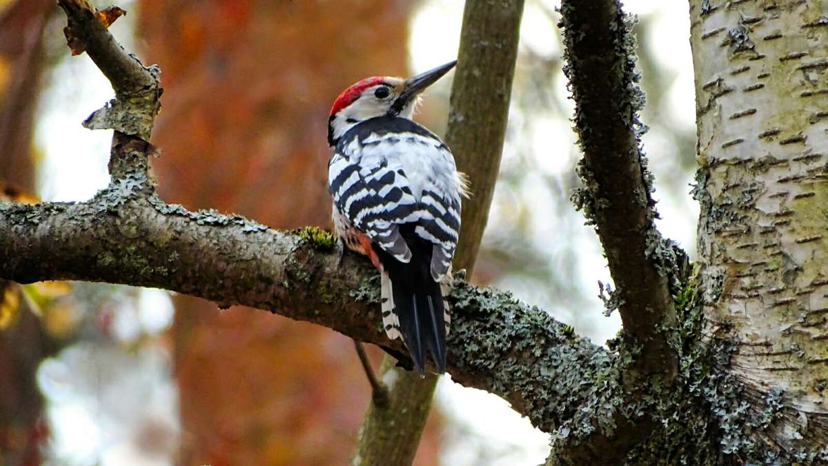 �� ��������� ����������. ����� �������� �������� �� PhotoGeek.ru #�������� ���