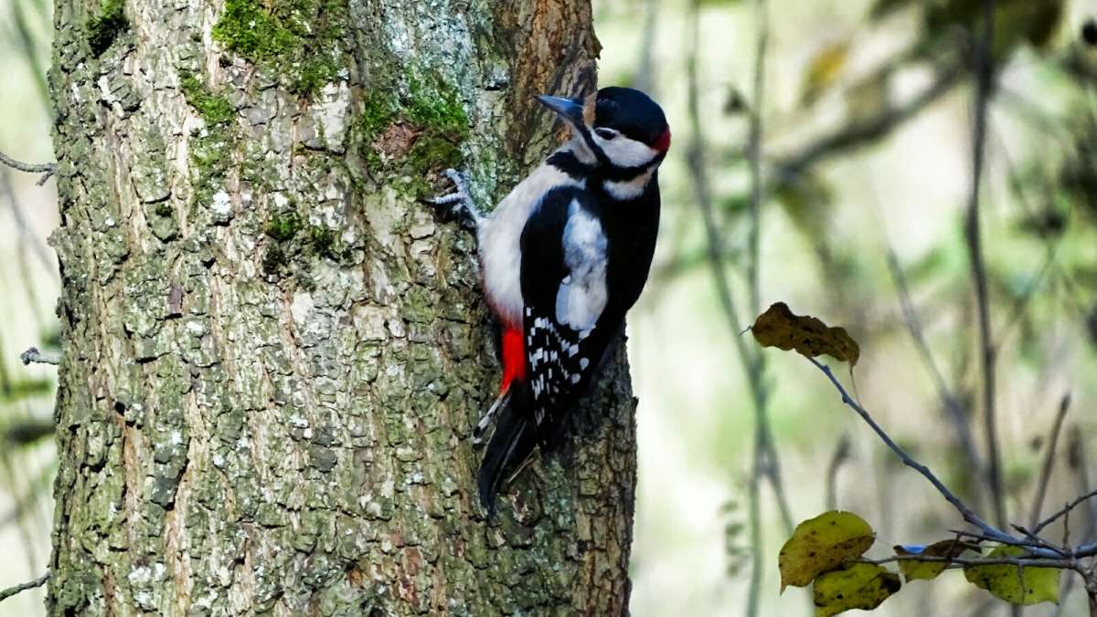 �� ����� ������ ����� �������� �������� �� PhotoGeek.ru #�������� ���