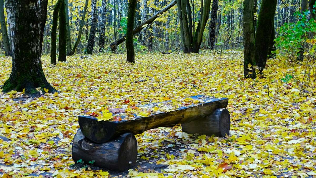 �������� �������� ����� �������� �������� �� PhotoGeek.ru #����� #������ ��� �������