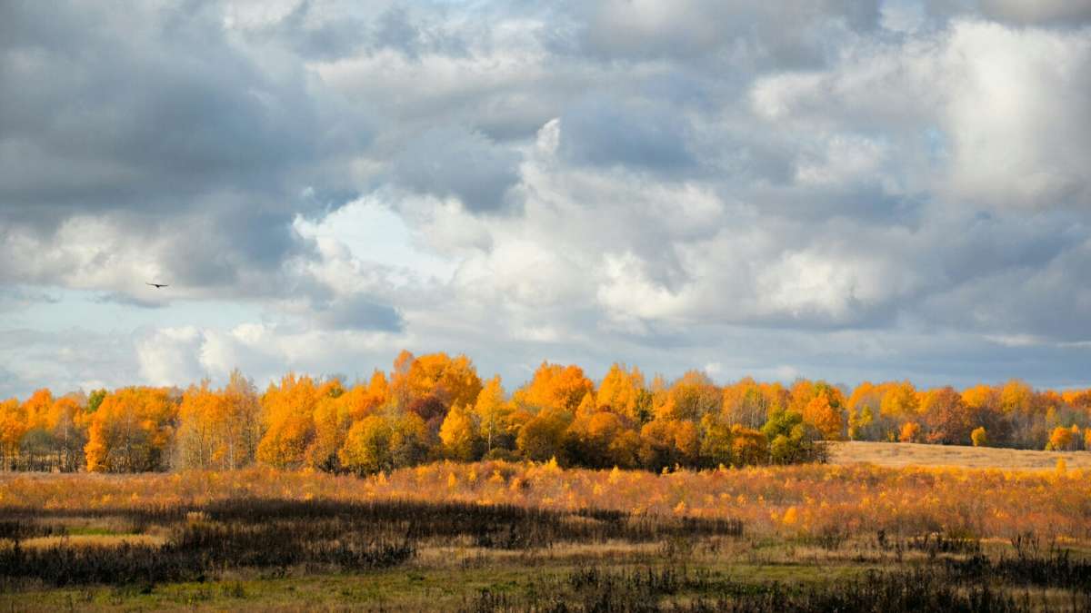 �����. ����� �������� �������� �� PhotoGeek.ru #������ ��� �������