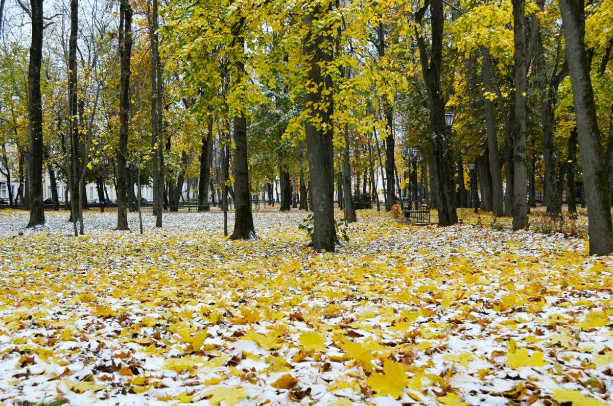 � ��������� ����. ����� �������� �������� �� PhotoGeek.ru #����� #������ ��� �������