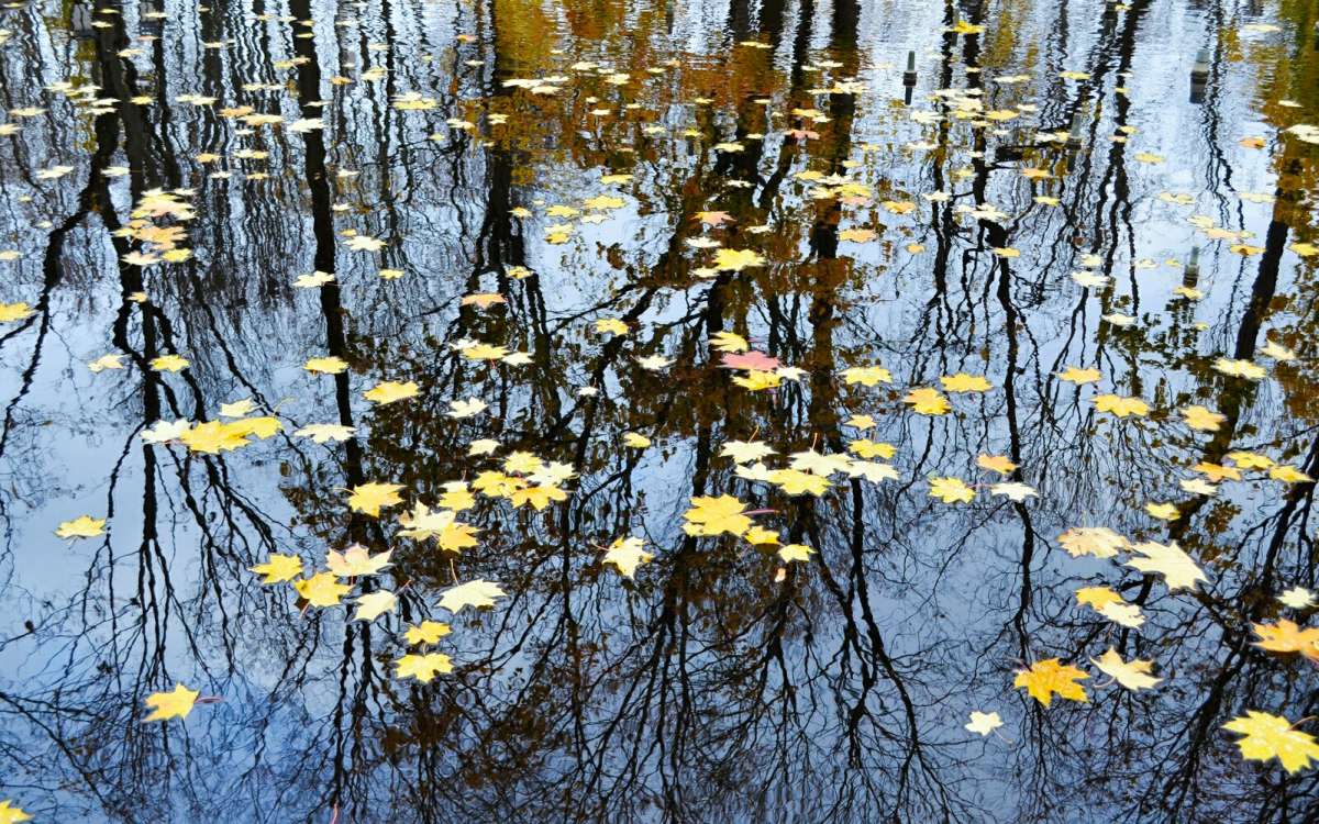 ���������� ��������� � ������� ����� �������� �������� �� PhotoGeek.ru #����� #������ ��� �������