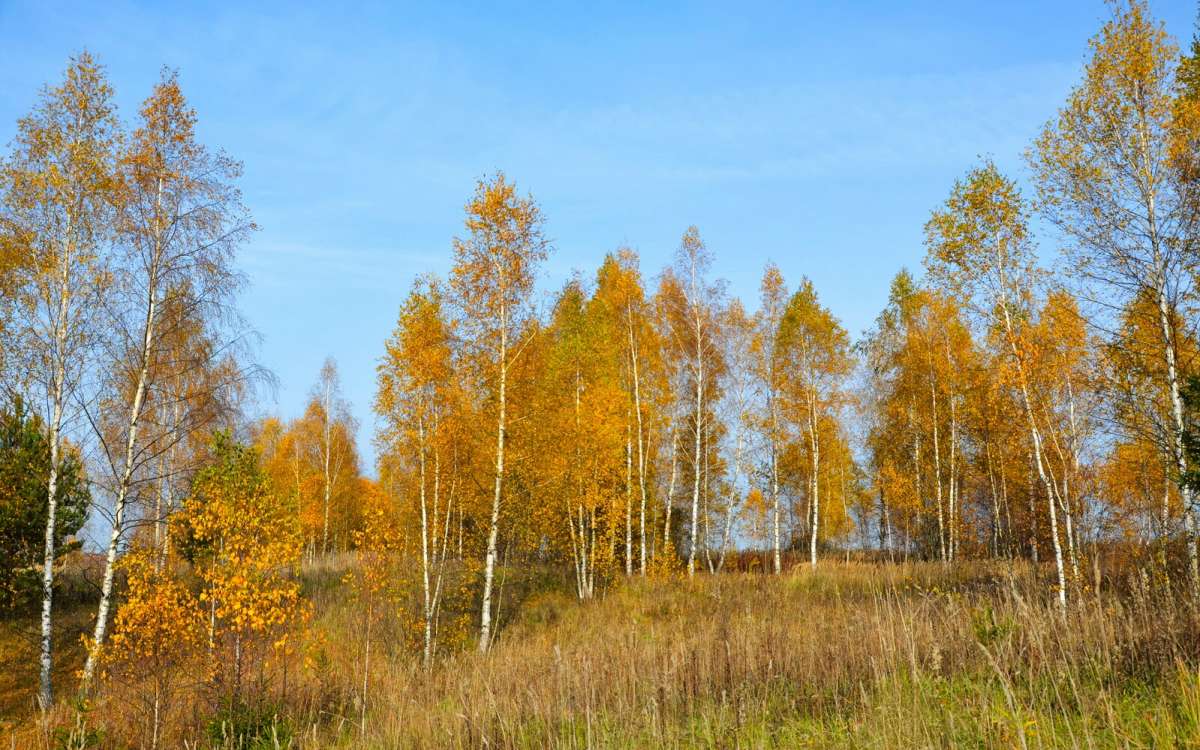 ������ � ������� ���������. ����� �������� �������� �� PhotoGeek.ru #������ ��� �������