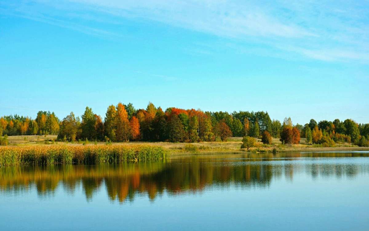 ��� ���� ����������. ����� �������� �������� �� PhotoGeek.ru #������ ��� �������