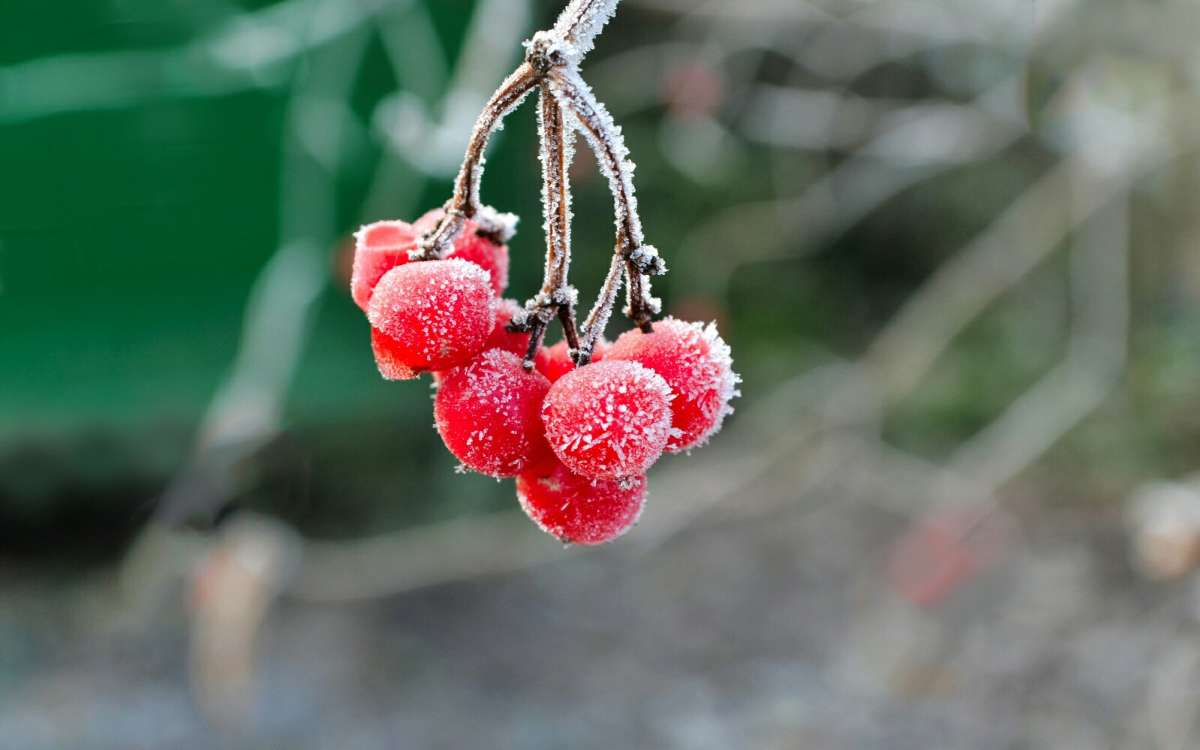 ����������� ������. ����� �������� �������� �� PhotoGeek.ru #����� #������ ��� �������
