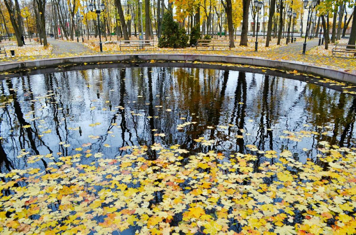 ������� ������ �������� ��������. ����� �������� �������� �� PhotoGeek.ru #����� #������ ��� ������� #�����������