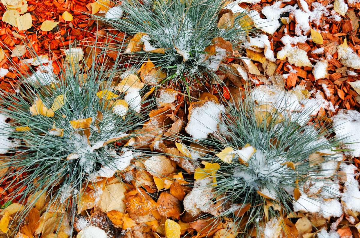 �������� ������� ����� �������� �������� �� PhotoGeek.ru #����� #������ ��� �������