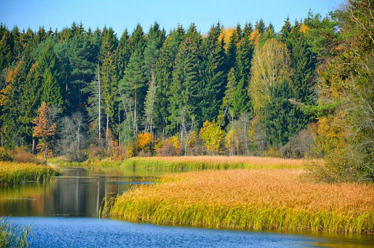 ��� ����� ����� �������� �������� �� PhotoGeek.ru #������ ��� �������
