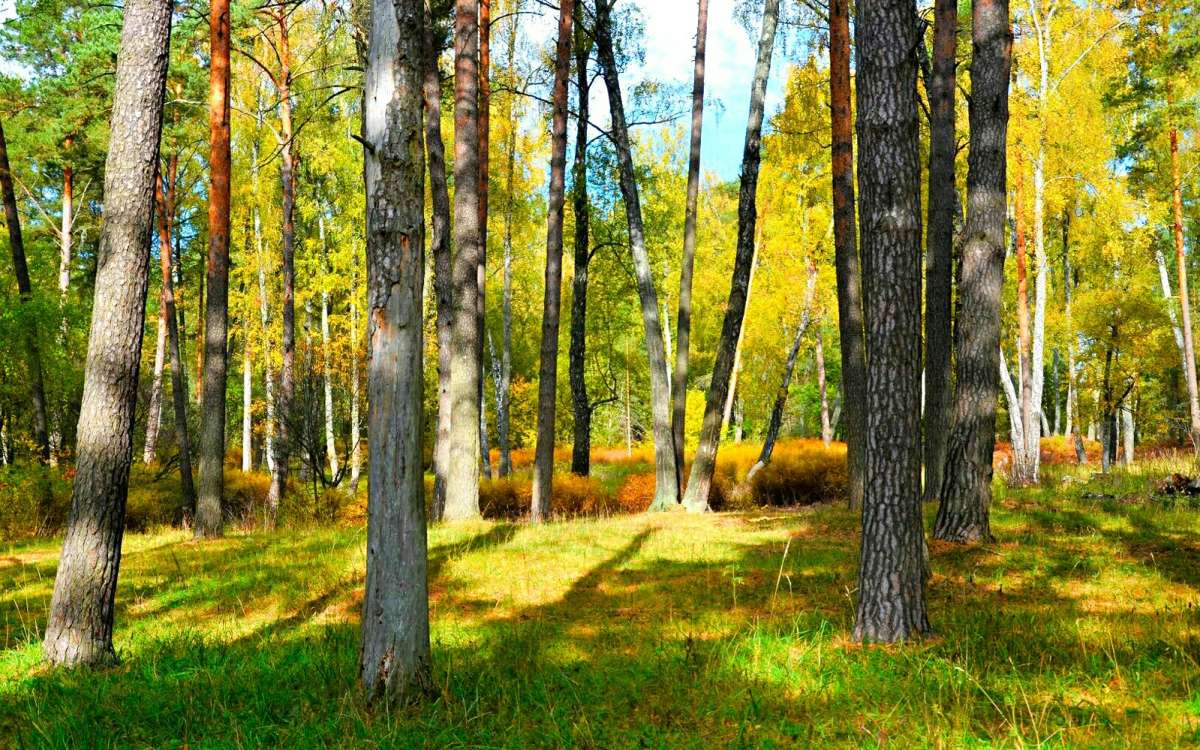 � ������� ���� ��� ����������. ����� �������� �������� �� PhotoGeek.ru #������ ��� �������