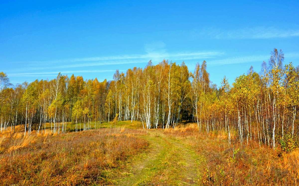 ������� �������� � ������� ����. ����� �������� �������� �� PhotoGeek.ru #������ ��� �������