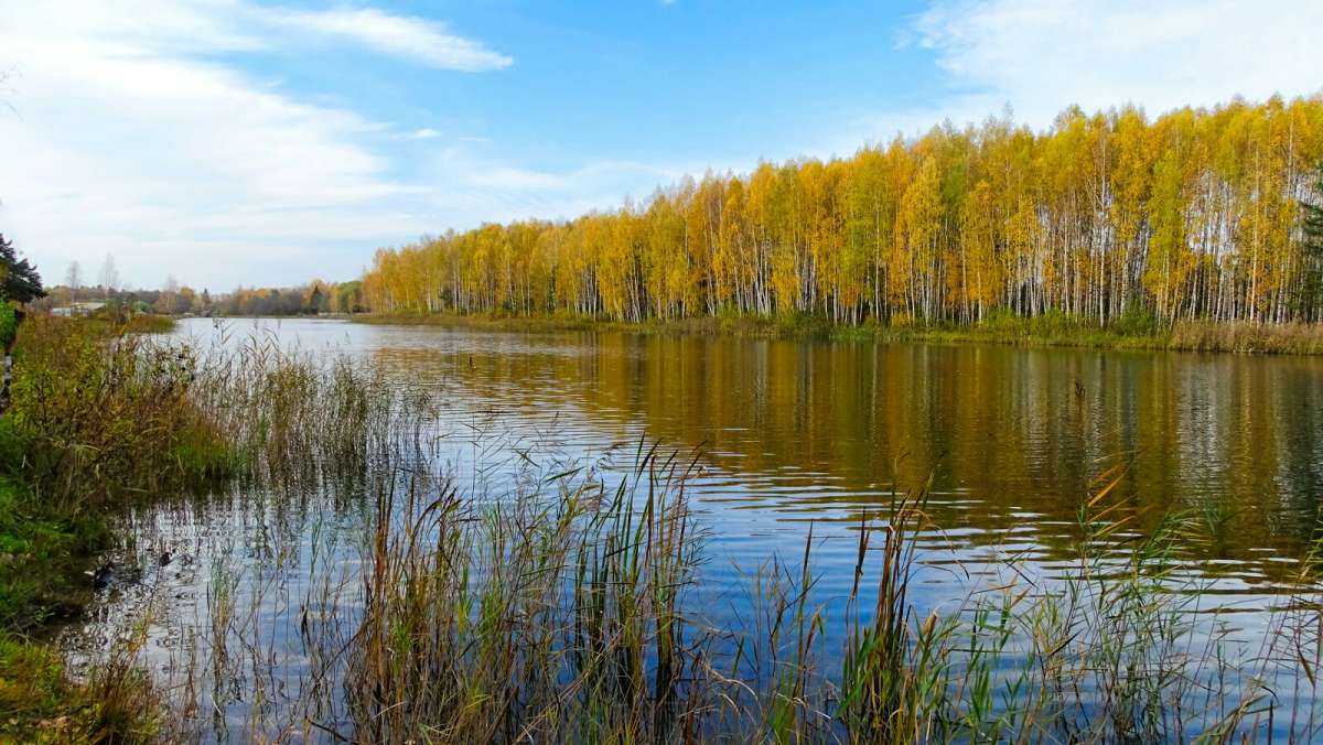 ������ ������� ����� �������� �������� �� PhotoGeek.ru #������ ��� �������