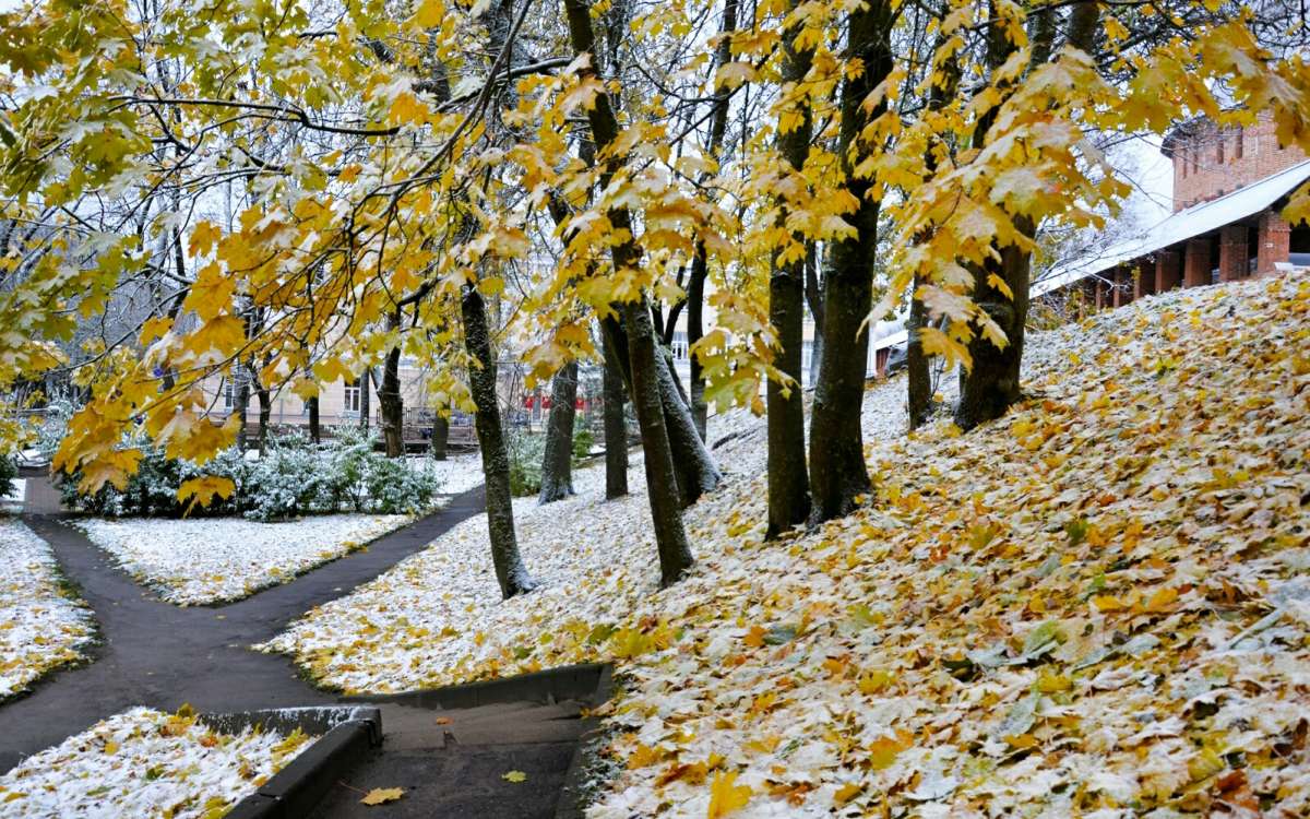 ����� ����� ������� ���������. ����� �������� �������� �� PhotoGeek.ru #����� #������ ��� ������� #�����������