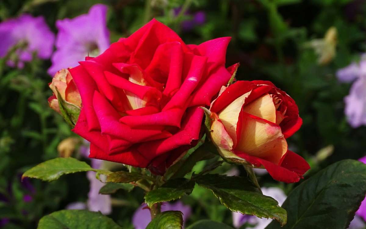 ������� ���� ����� �������� �������� �� PhotoGeek.ru #����� #�����