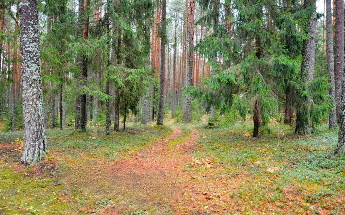 ���� ����� � ����� ���� �������. ������� +12� ����� �������� �������� �� PhotoGeek.ru #������ ��� �������