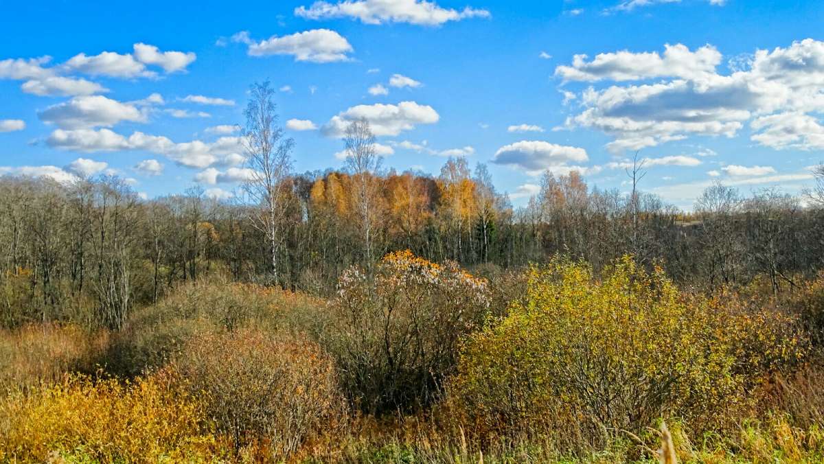 ��������� � ����������� ������. ����� �������� �������� �� PhotoGeek.ru #������ ��� �������