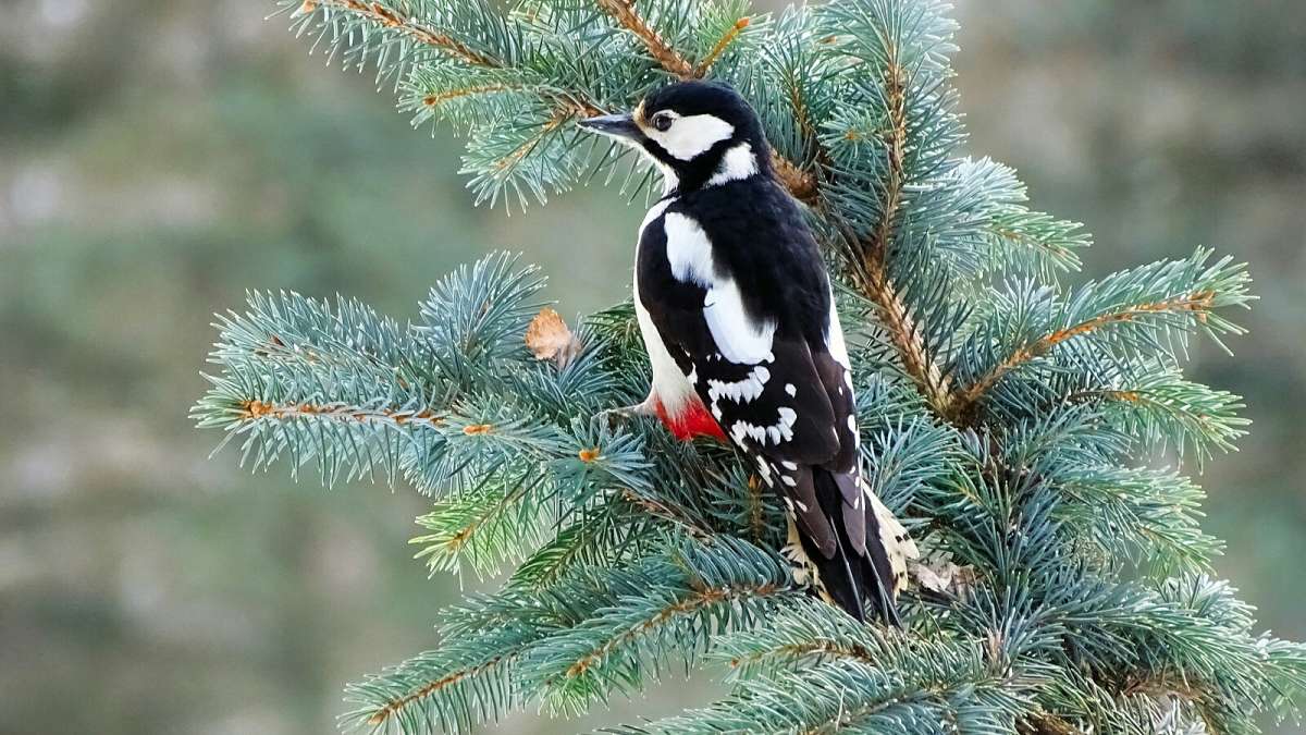 ������ ������ ������. ����� �������� �������� �� PhotoGeek.ru #����� #�������� ���