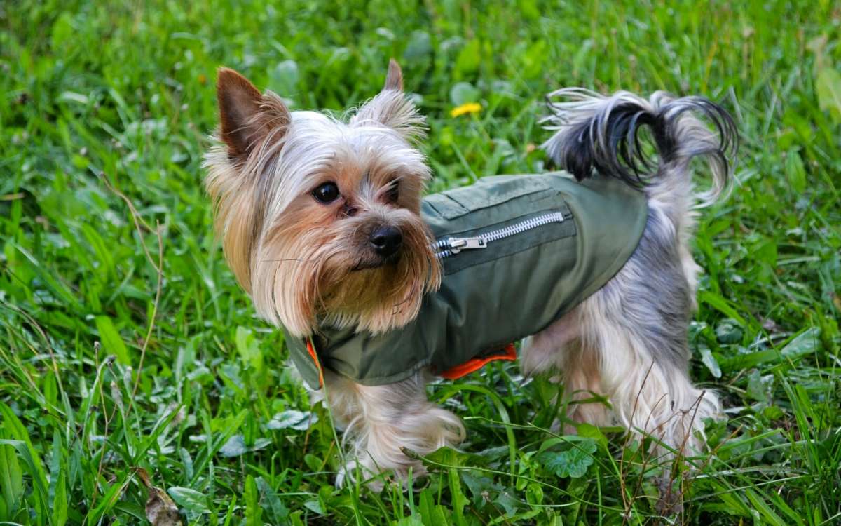 ���� ��������. ����� �������� �������� �� PhotoGeek.ru #����� #�������� ���