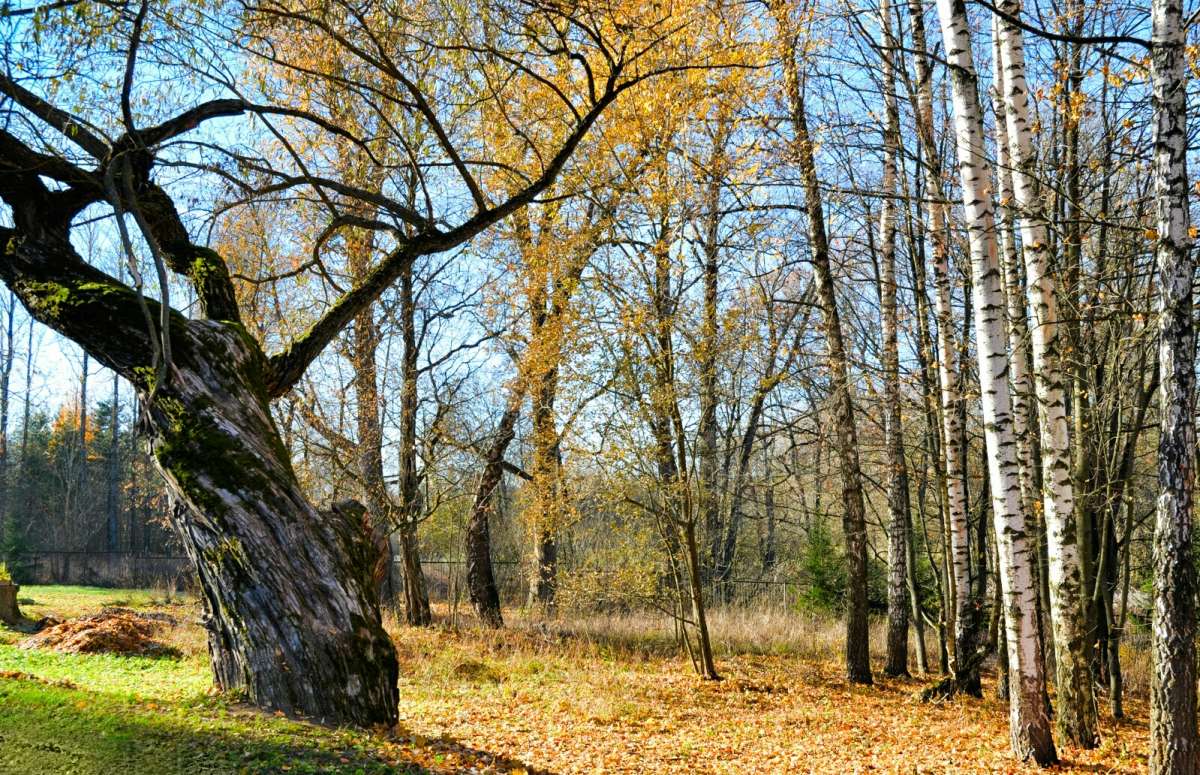 ��� �����. ����� �������� �������� �� PhotoGeek.ru #������ ��� �������