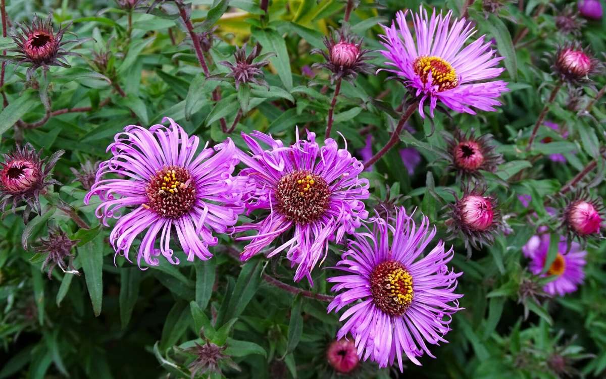 ������� �����. ����� �������� �������� �� PhotoGeek.ru #����� #�����