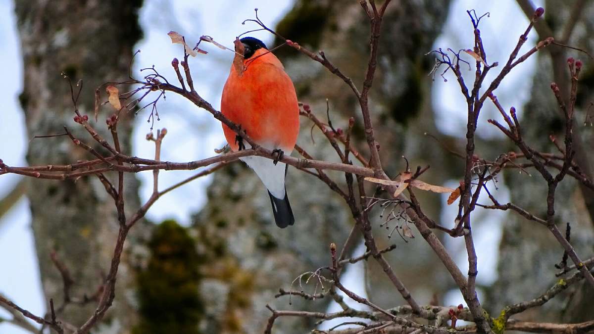 �������. ����� �������� �������� �� PhotoGeek.ru #�������� ���