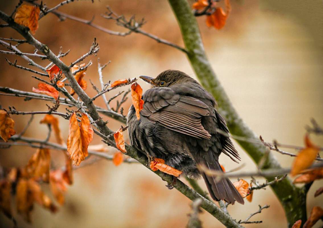 ������� ������� ������. ����� �������� �������� �� PhotoGeek.ru #����� #�������� ���