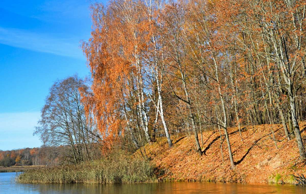 ��� �����. ����� �������� �������� �� PhotoGeek.ru #������ ��� �������