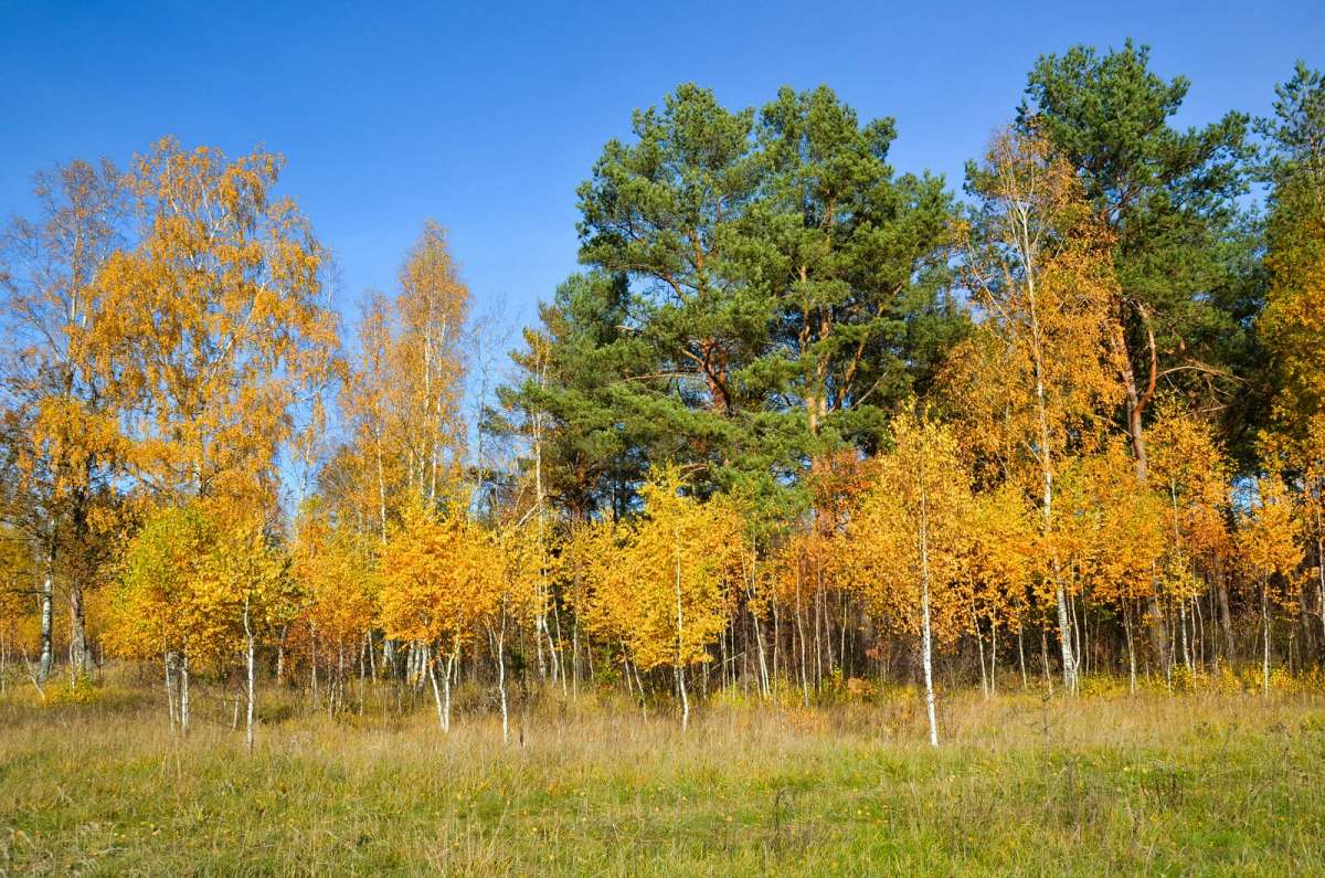 ����� - ������� ����� �������� �������� �� PhotoGeek.ru #������ ��� �������