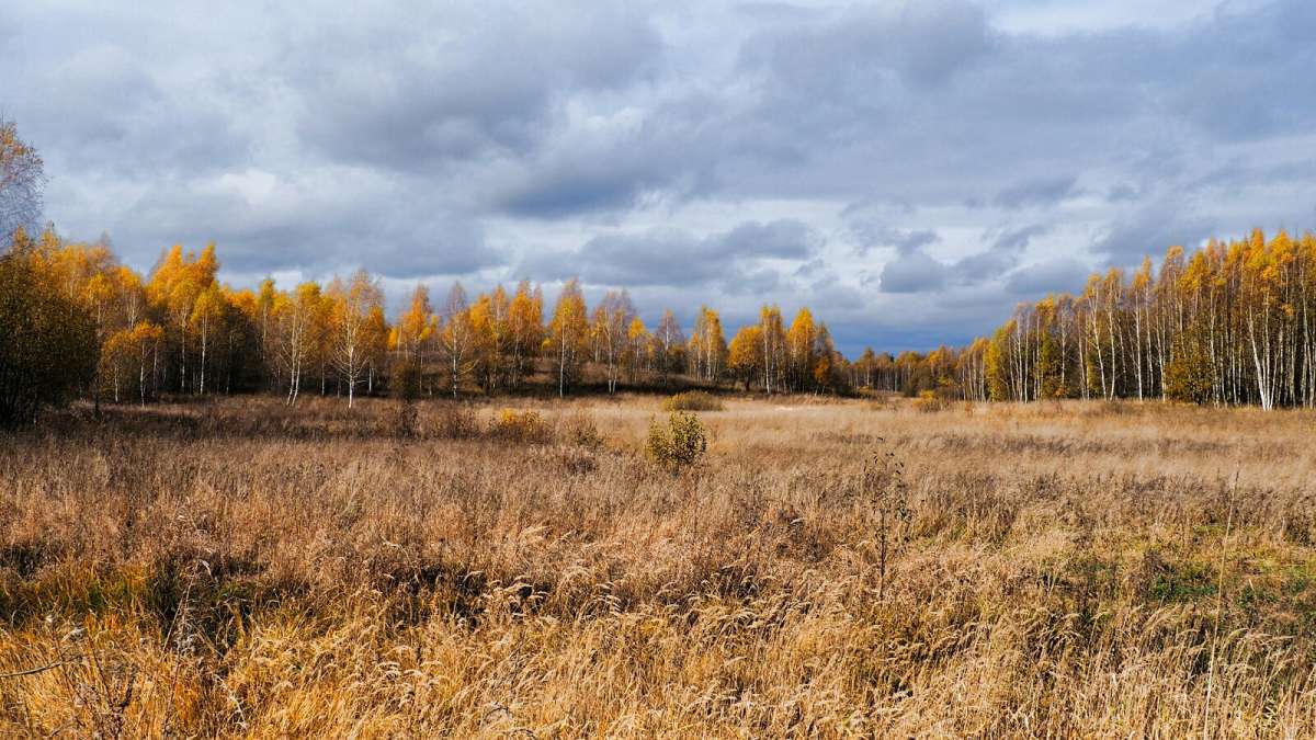 ���������� � �������. ����� �������� �������� �� PhotoGeek.ru #������ ��� �������