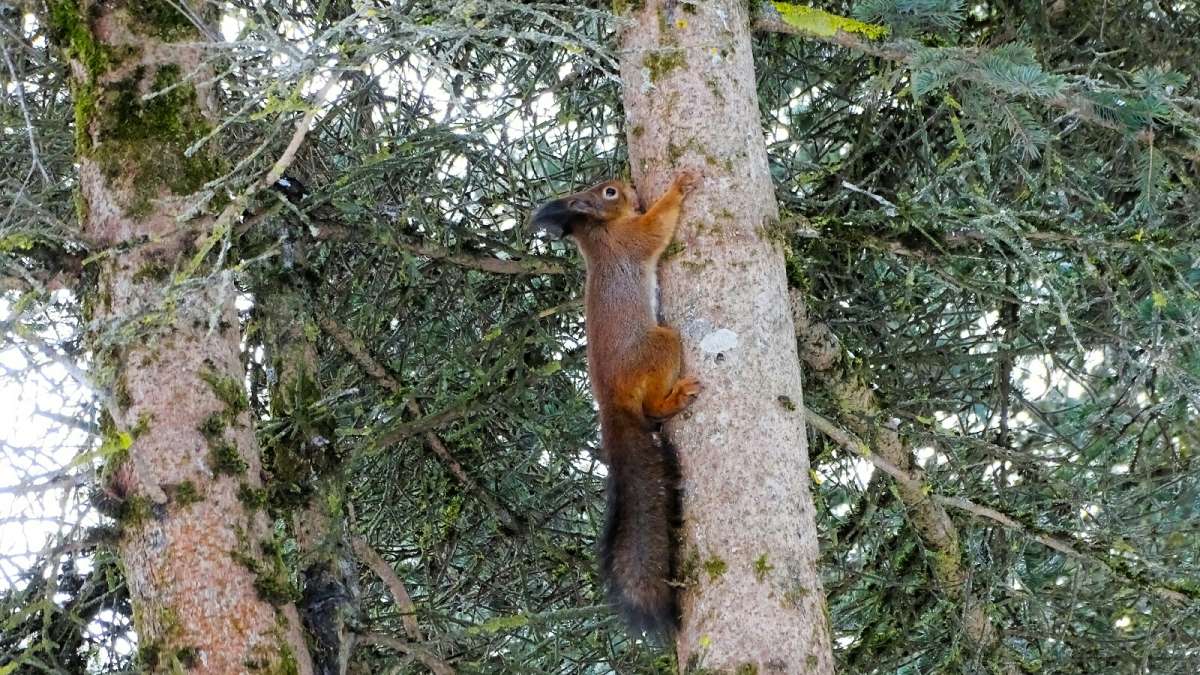 ����� � ����� �������. ����� �������� �������� �� PhotoGeek.ru #�������� ���