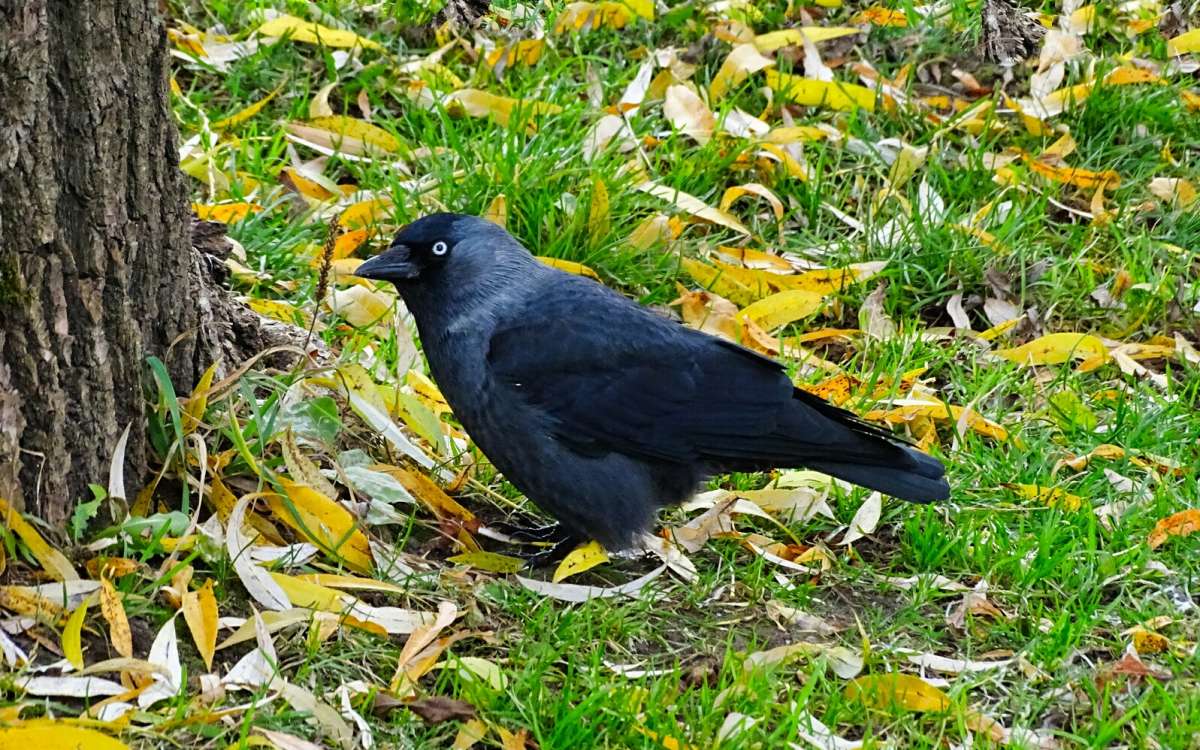 ������ ������. ����� �������� �������� �� PhotoGeek.ru #����� #�������� ���