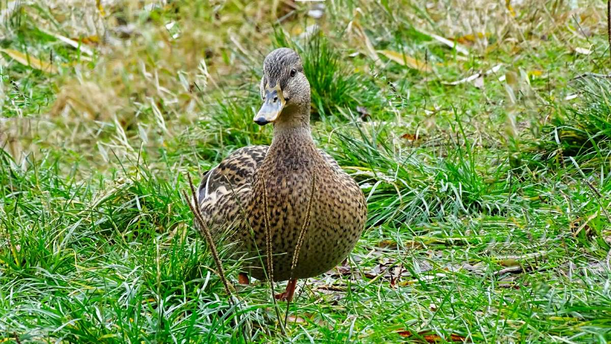 ������ ������ �� ���������. ����� �������� �������� �� PhotoGeek.ru #�������� ���