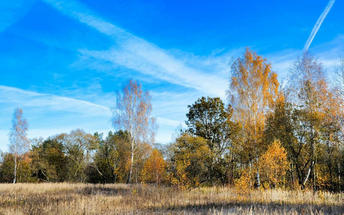 ��� �����. ����� �������� �������� �� PhotoGeek.ru #������ ��� �������