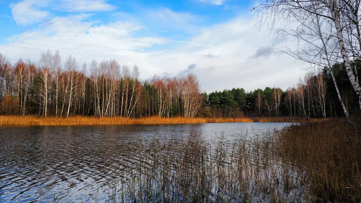 ������� � ������. ����� �������� �������� �� PhotoGeek.ru #������ ��� �������