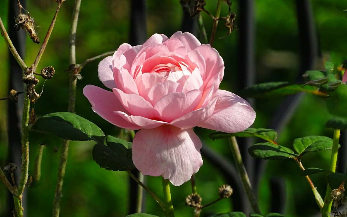 ���� �� ��������� ������. ����� �������� �������� �� PhotoGeek.ru #����� #�����