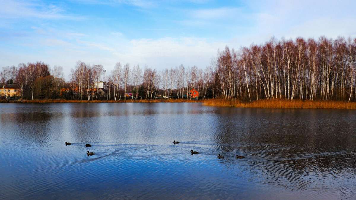 ����� � �������. ����� �������� �������� �� PhotoGeek.ru #������ ��� �������
