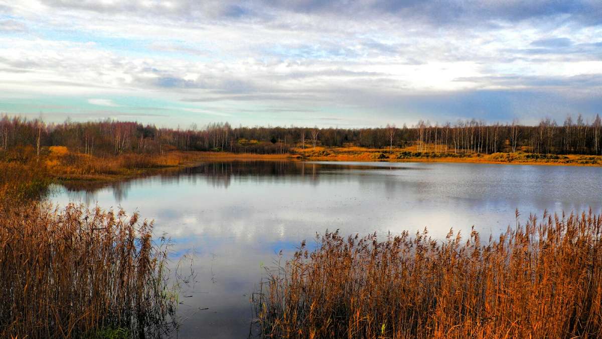 ������� �����. ����� �������� �������� �� PhotoGeek.ru #������ ��� �������