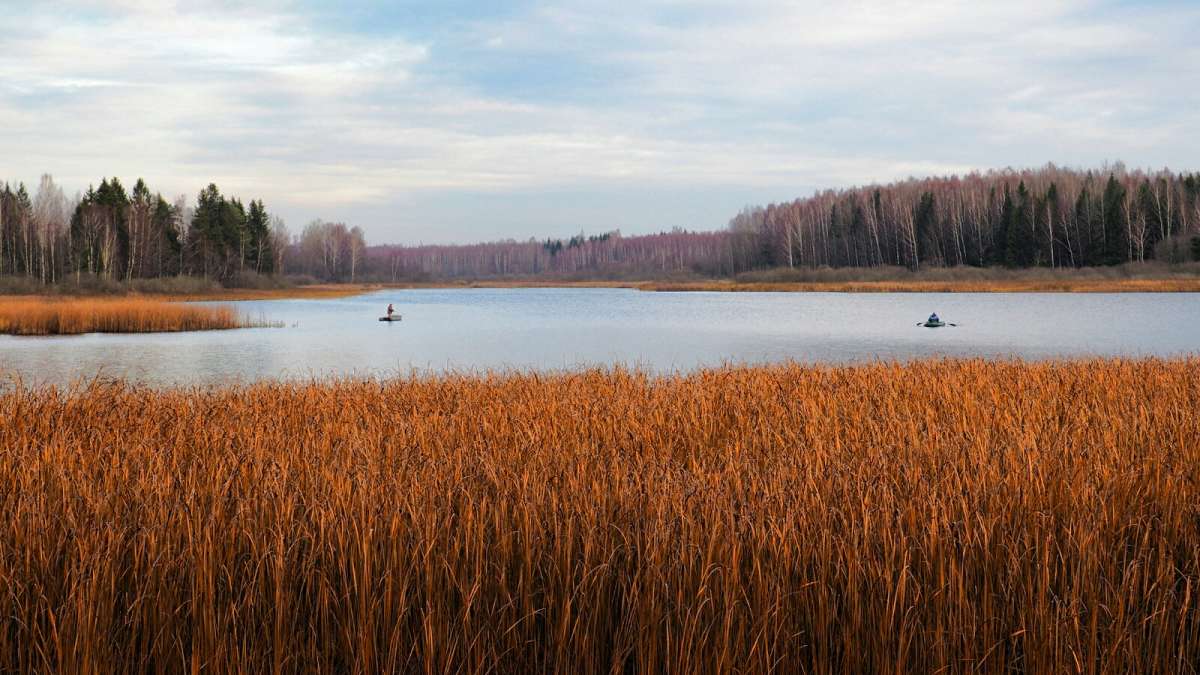 � �������. ����� �������� �������� �� PhotoGeek.ru #������ ��� �������