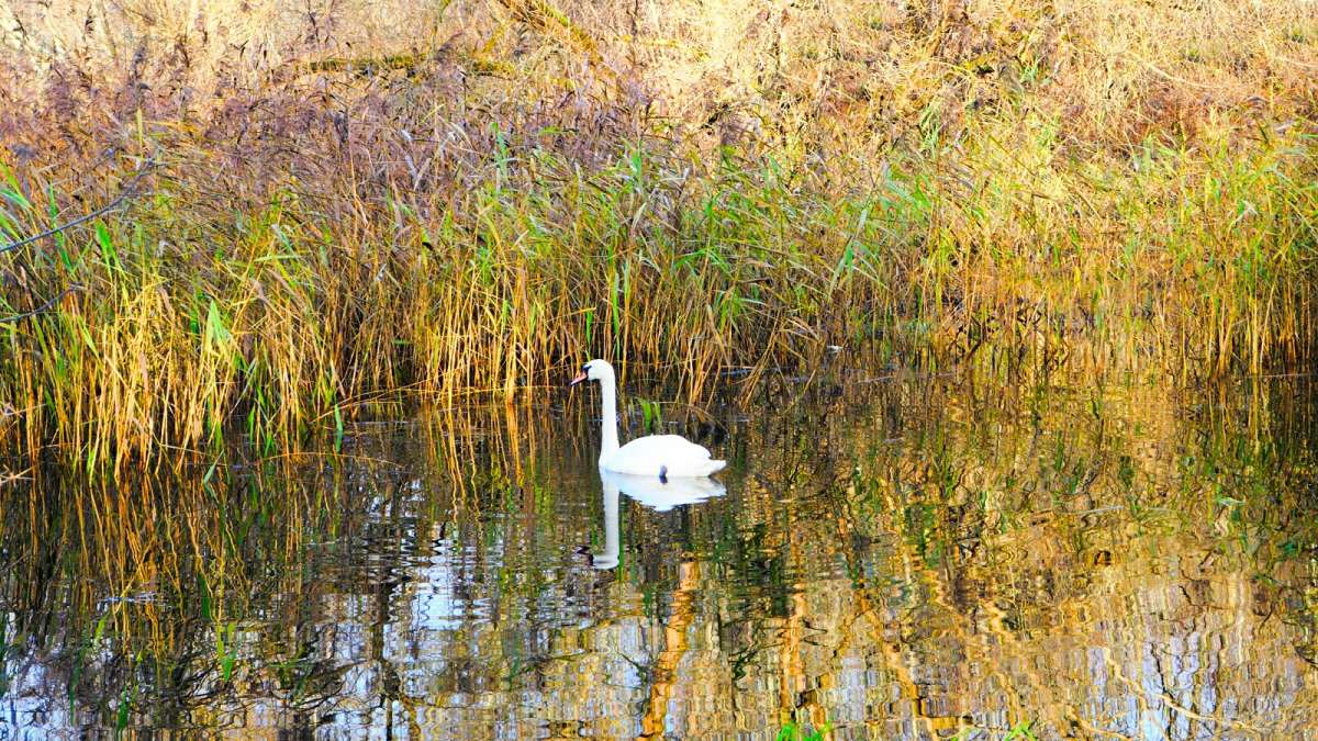 ����� ������ � ����� �������. ������ ����� ������� � ����� ����, � ���� �� �����-�� ������� ������� �� ����������. ����� �������� �������� �� PhotoGeek.ru #�������� ���