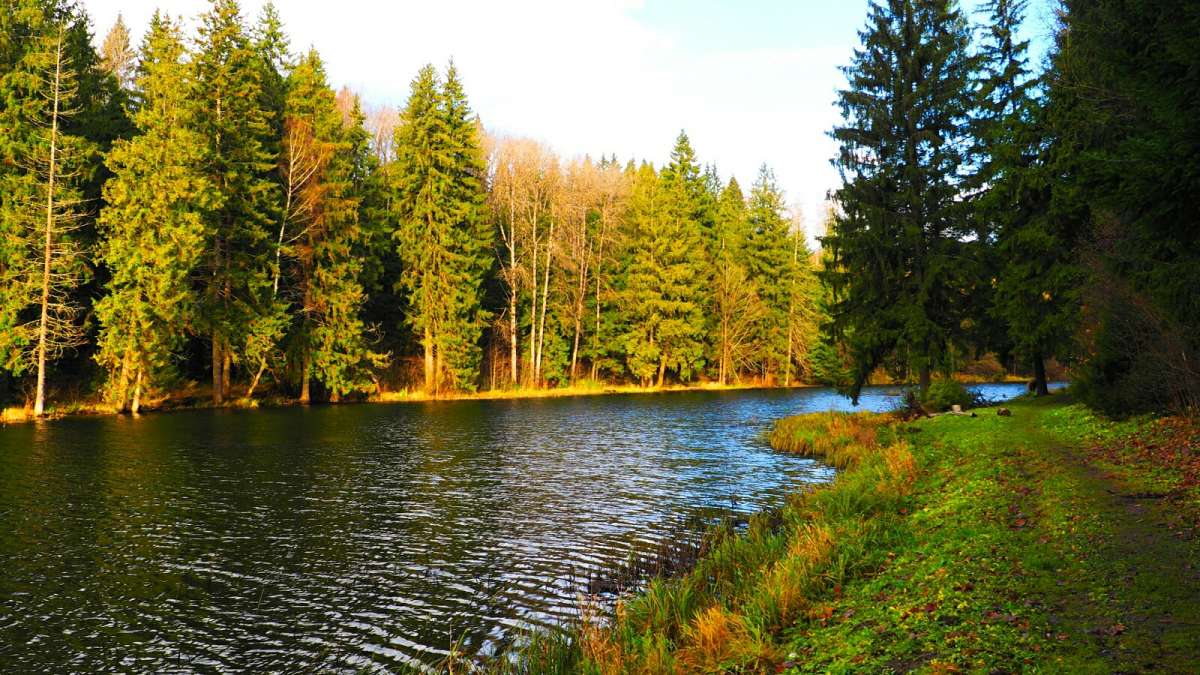 Ҹ���� ������. ����� �������� �������� �� PhotoGeek.ru #������ ��� �������