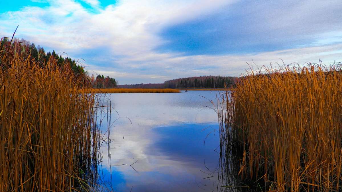 ��� � ����������� �����. ����� �������� �������� �� PhotoGeek.ru #������ ��� �������