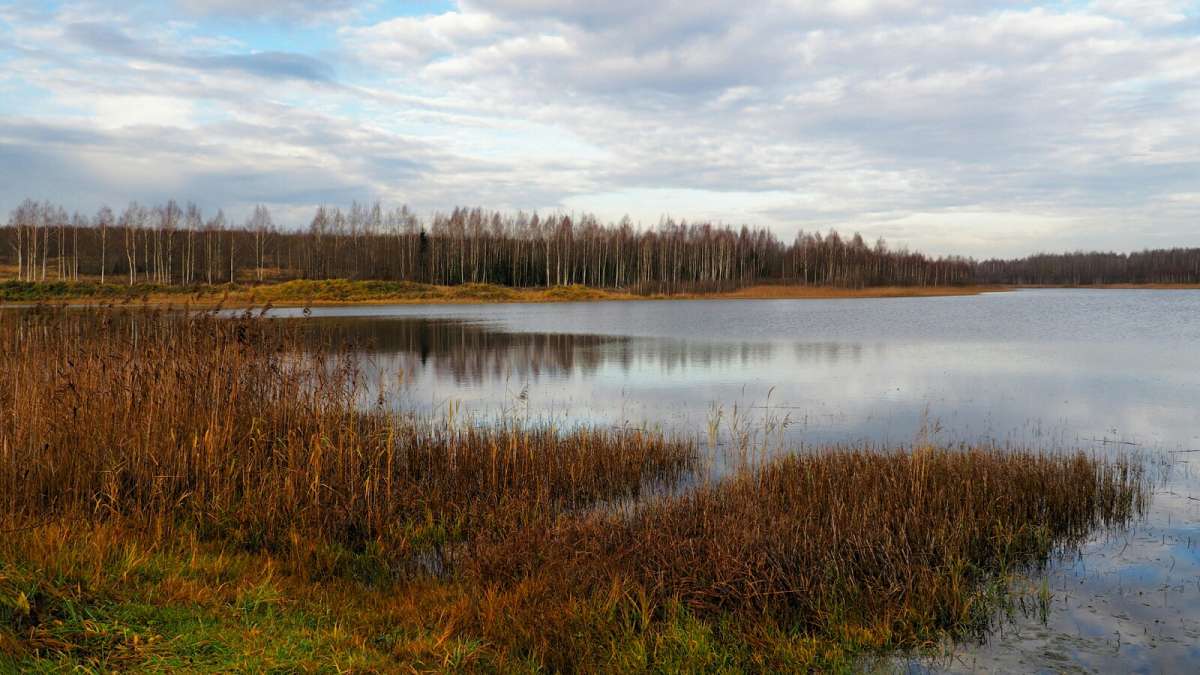 ��� ���������� �����. ����� �������� �������� �� PhotoGeek.ru #������ ��� �������