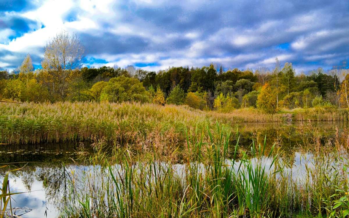 ��� ����� ����� �������� �������� �� PhotoGeek.ru #������ ��� �������